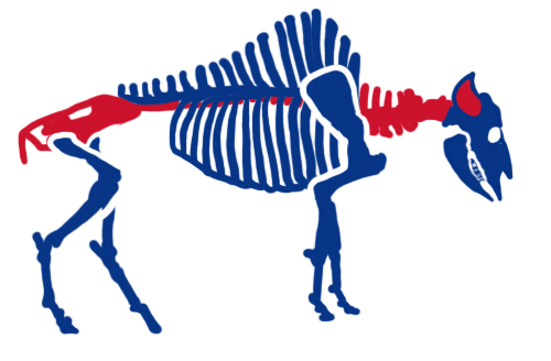 Buffalo Bills Halloween Logo fabric transfer